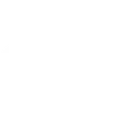 The Zone